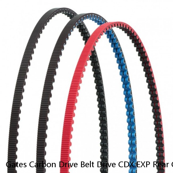 Gates Carbon Drive Belt Drive CDX:EXP Rear Cog, Rohloff Splined- 22t