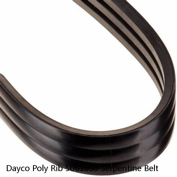 Dayco Poly Rib 5061030 Serpentine Belt #1 small image