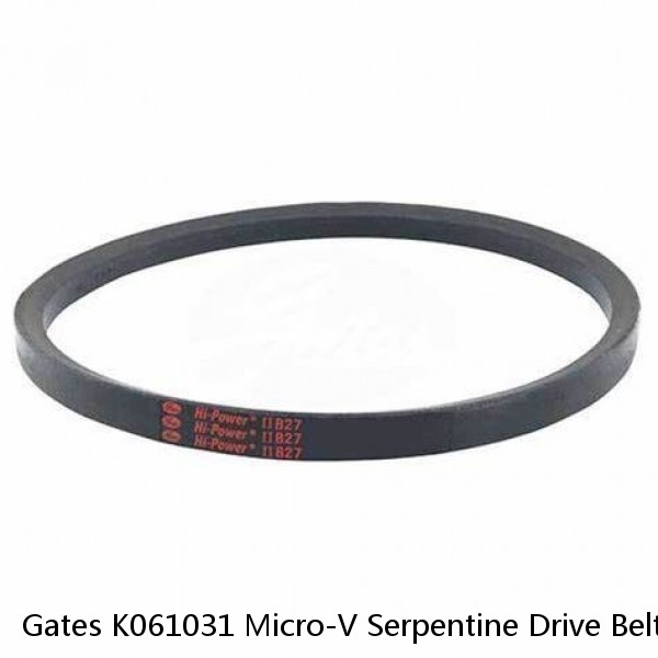 Gates K061031 Micro-V Serpentine Drive Belt #1 small image