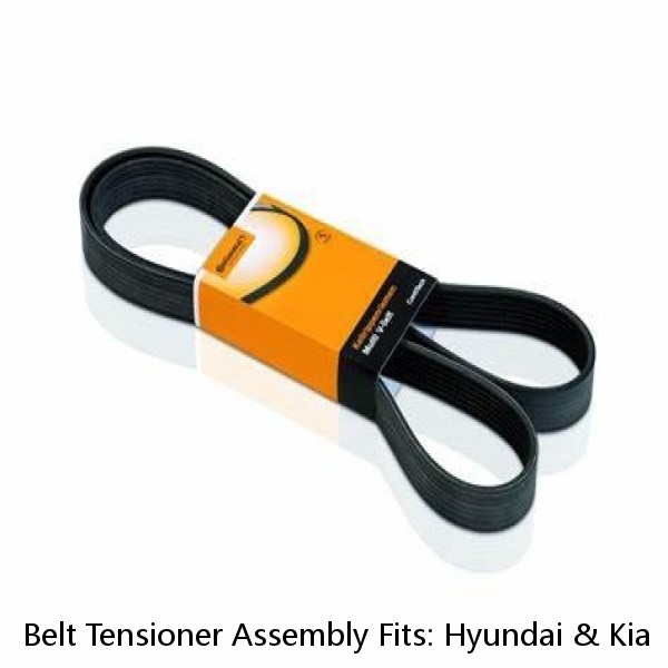 Belt Tensioner Assembly Fits: Hyundai & Kia  V6  3.3L 3.5L 3.8L #1 small image